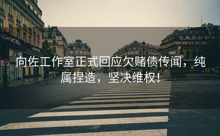 向佐工作室正式回應(yīng)欠賭債傳聞，純屬捏造，堅(jiān)決維權(quán)！
