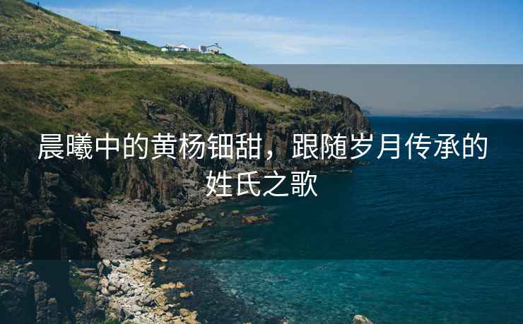 晨曦中的黃楊鈿甜，跟隨歲月傳承的姓氏之歌