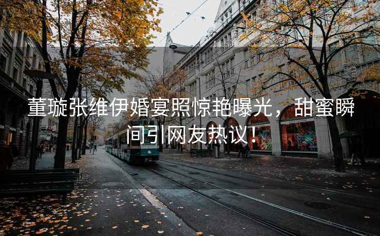 董璇張維伊婚宴照驚艷曝光，甜蜜瞬間引網(wǎng)友熱議！