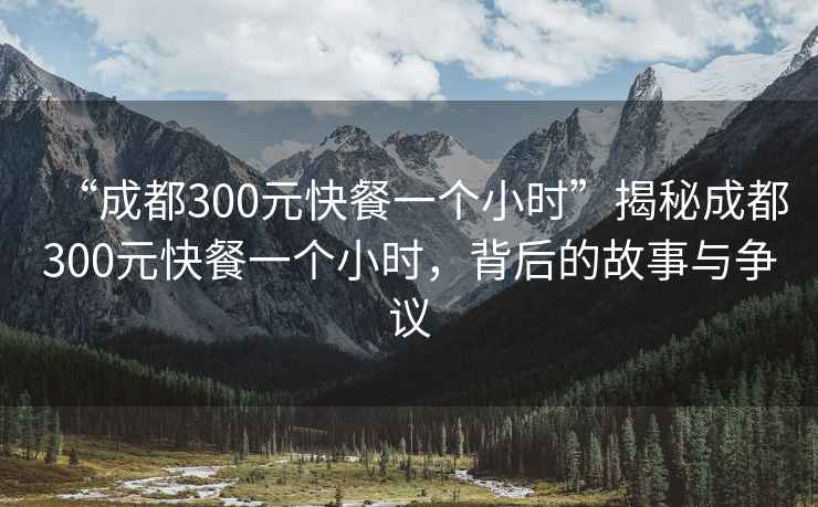 “成都300元快餐一個小時”揭秘成都300元快餐一個小時，背后的故事與爭議