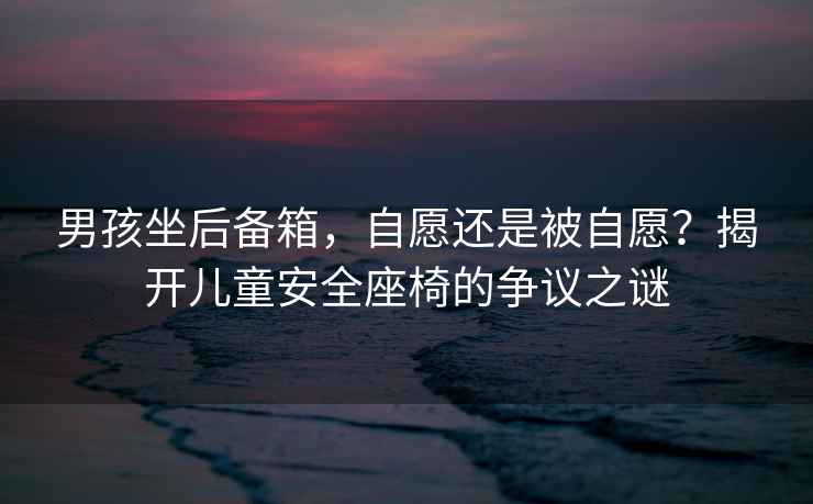 男孩坐后備箱，自愿還是被自愿？揭開(kāi)兒童安全座椅的爭(zhēng)議之謎