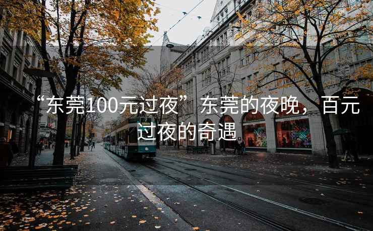 “東莞100元過夜”東莞的夜晚，百元過夜的奇遇
