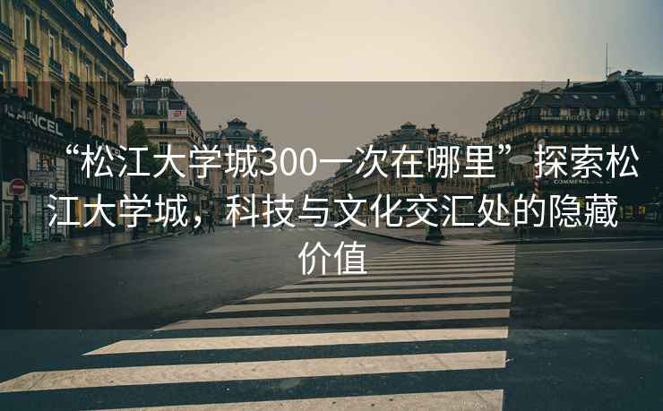 “松江大學(xué)城300一次在哪里”探索松江大學(xué)城，科技與文化交匯處的隱藏價(jià)值