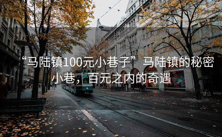 “馬陸鎮(zhèn)100元小巷子”馬陸鎮(zhèn)的秘密小巷，百元之內(nèi)的奇遇
