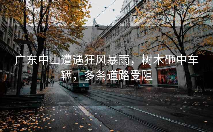 廣東中山遭遇狂風暴雨，樹木砸中車輛，多條道路受阻
