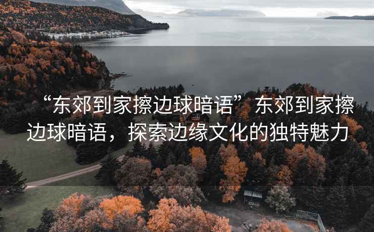 “東郊到家擦邊球暗語(yǔ)”東郊到家擦邊球暗語(yǔ)，探索邊緣文化的獨(dú)特魅力