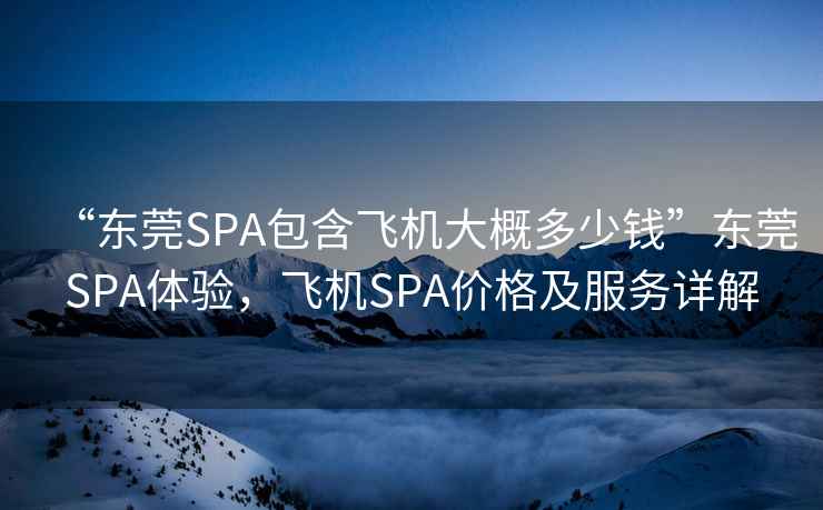 “東莞SPA包含飛機大概多少錢”東莞SPA體驗，飛機SPA價格及服務詳解