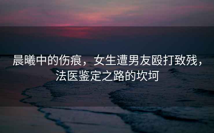 晨曦中的傷痕，女生遭男友毆打致殘，法醫(yī)鑒定之路的坎坷