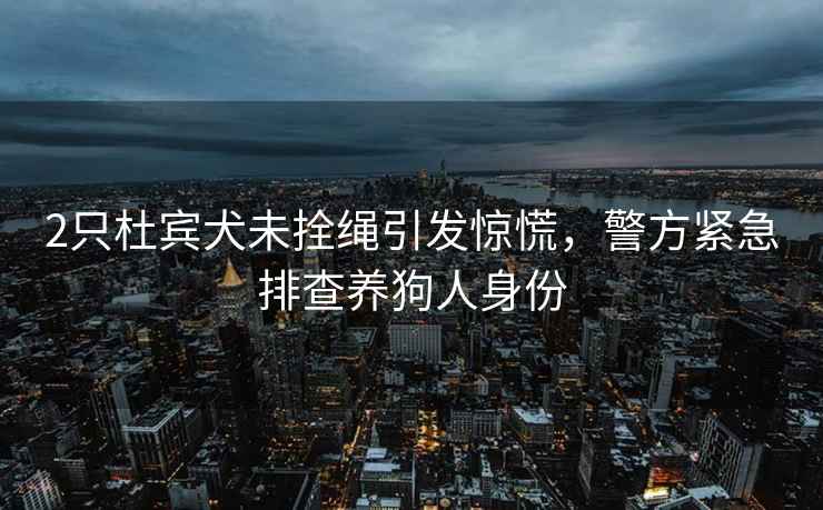 2只杜賓犬未拴繩引發(fā)驚慌，警方緊急排查養(yǎng)狗人身份