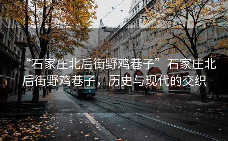 “石家莊北后街野雞巷子”石家莊北后街野雞巷子，歷史與現(xiàn)代的交織