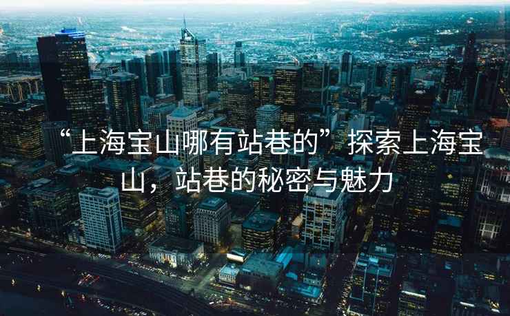 “上海寶山哪有站巷的”探索上海寶山，站巷的秘密與魅力