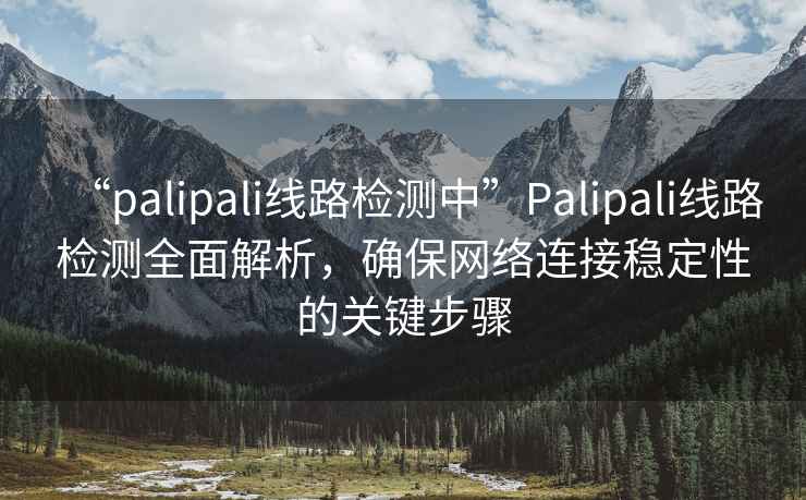 “palipali線路檢測中”Palipali線路檢測全面解析，確保網(wǎng)絡(luò)連接穩(wěn)定性的關(guān)鍵步驟