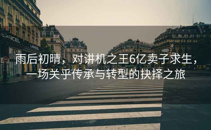 雨后初晴，對講機之王6億賣子求生，一場關(guān)乎傳承與轉(zhuǎn)型的抉擇之旅