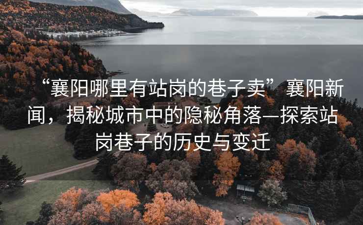 “襄陽哪里有站崗的巷子賣”襄陽新聞，揭秘城市中的隱秘角落—探索站崗巷子的歷史與變遷