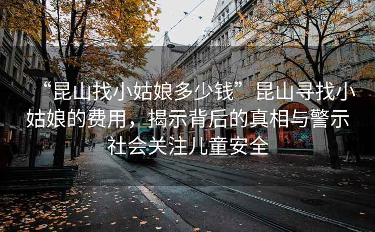 “昆山找小姑娘多少錢”昆山尋找小姑娘的費用，揭示背后的真相與警示社會關注兒童安全