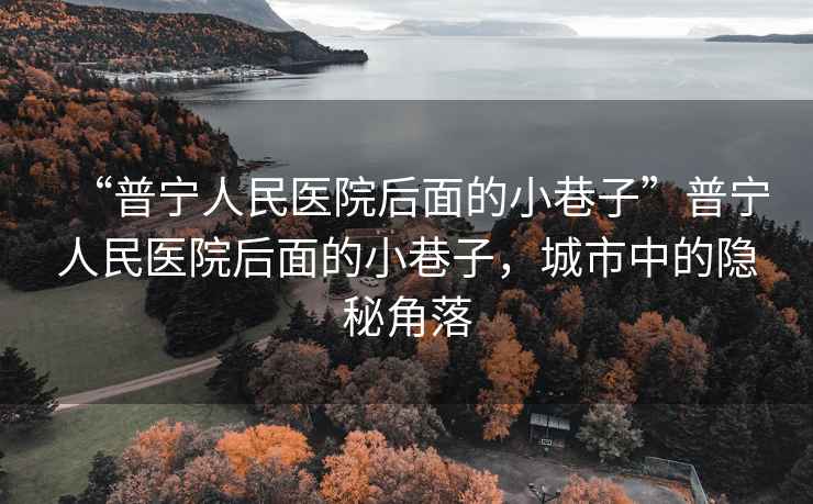 “普寧人民醫(yī)院后面的小巷子”普寧人民醫(yī)院后面的小巷子，城市中的隱秘角落