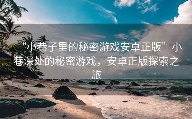 “小巷子里的秘密游戲安卓正版”小巷深處的秘密游戲，安卓正版探索之旅
