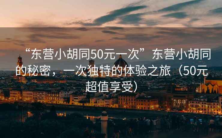 “東營小胡同50元一次”東營小胡同的秘密，一次獨(dú)特的體驗(yàn)之旅（50元超值享受）
