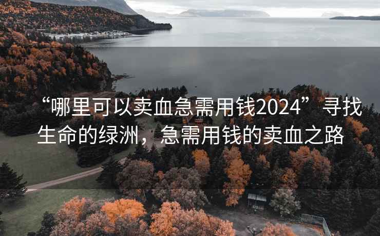 “哪里可以賣(mài)血急需用錢(qián)2024”尋找生命的綠洲，急需用錢(qián)的賣(mài)血之路