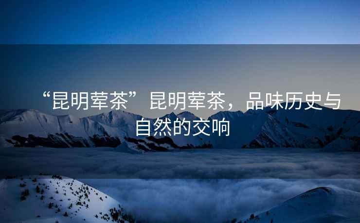 “昆明葷茶”昆明葷茶，品味歷史與自然的交響