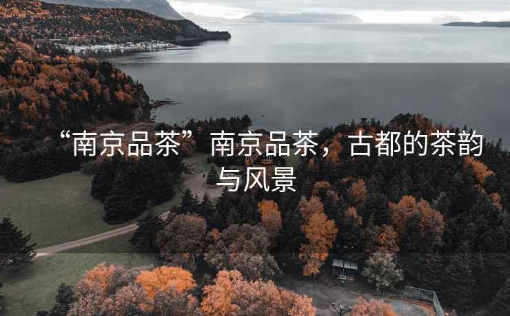 “南京品茶”南京品茶，古都的茶韻與風(fēng)景