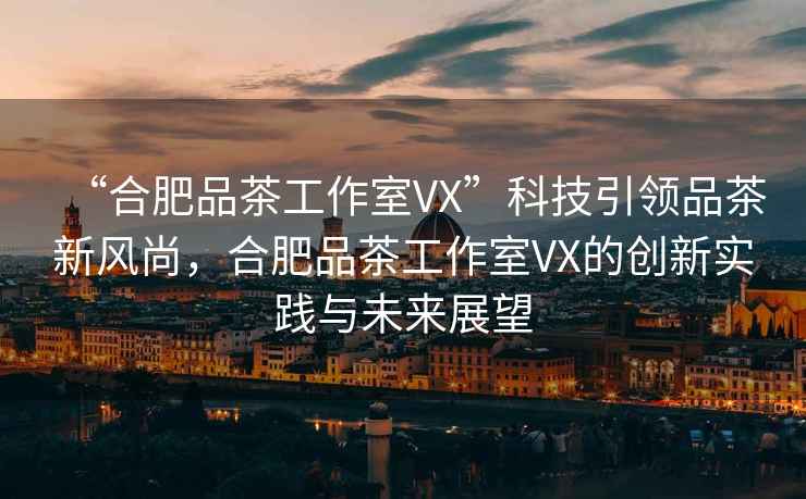 “合肥品茶工作室VX”科技引領(lǐng)品茶新風(fēng)尚，合肥品茶工作室VX的創(chuàng)新實(shí)踐與未來展望
