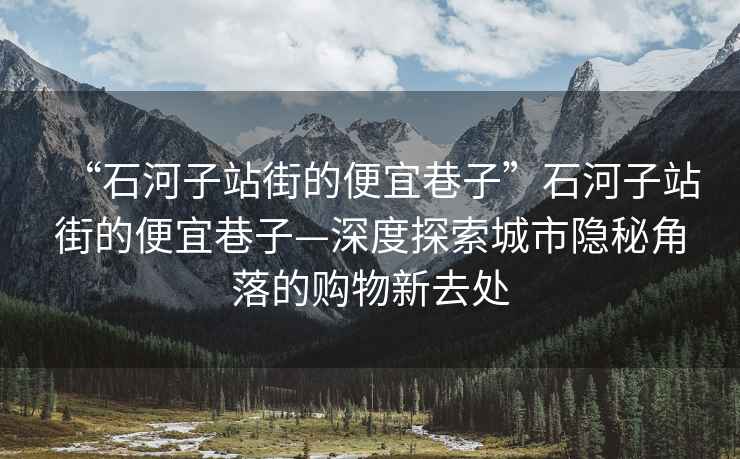 “石河子站街的便宜巷子”石河子站街的便宜巷子—深度探索城市隱秘角落的購物新去處