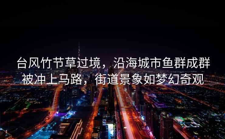 臺風(fēng)竹節(jié)草過境，沿海城市魚群成群被沖上馬路，街道景象如夢幻奇觀
