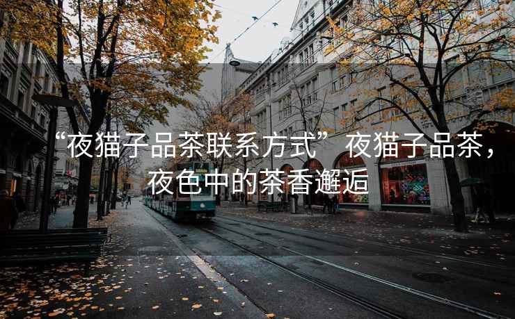 “夜貓子品茶聯(lián)系方式”夜貓子品茶，夜色中的茶香邂逅