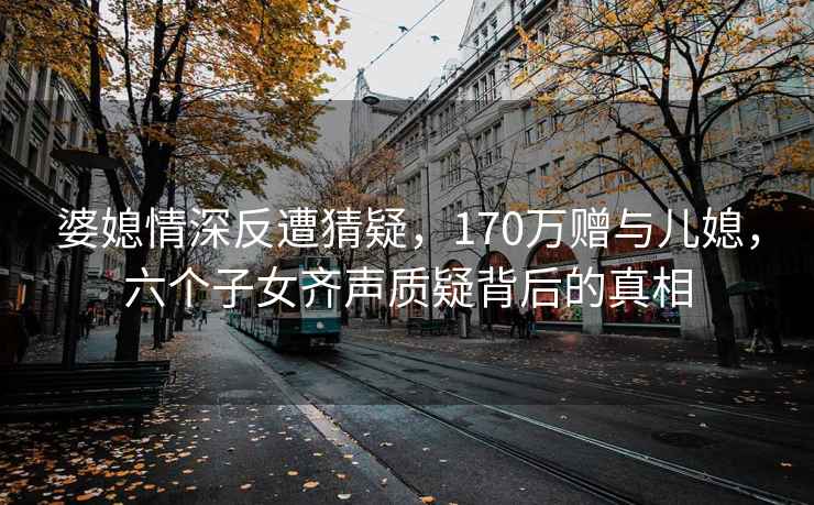婆媳情深反遭猜疑，170萬贈與兒媳，六個子女齊聲質(zhì)疑背后的真相
