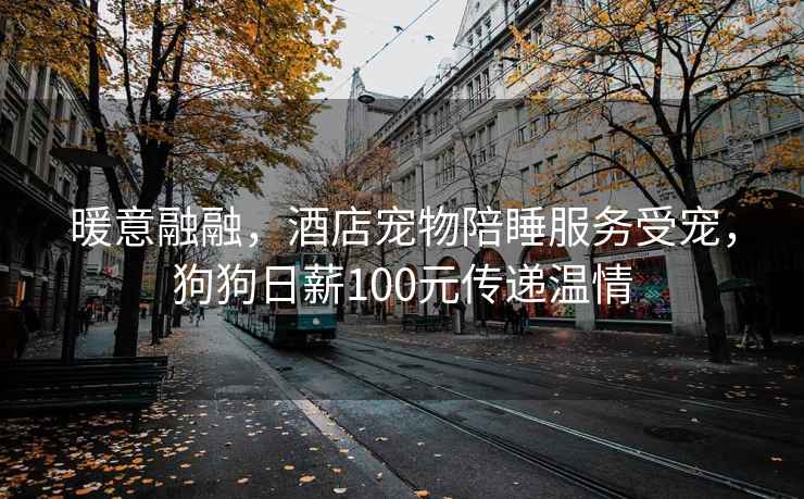 暖意融融，酒店寵物陪睡服務受寵，狗狗日薪100元傳遞溫情