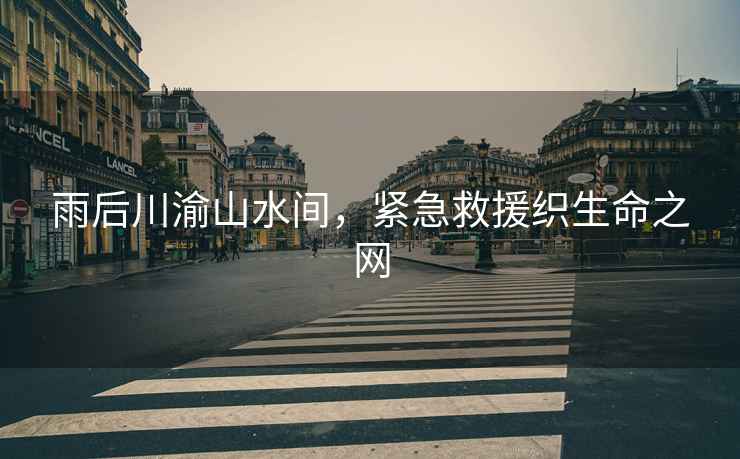 雨后川渝山水間，緊急救援織生命之網(wǎng)