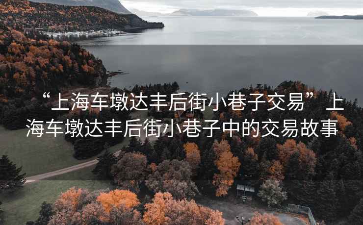 “上海車墩達豐后街小巷子交易”上海車墩達豐后街小巷子中的交易故事