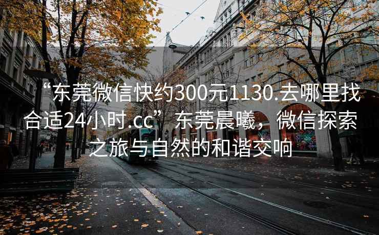 “東莞微信快約300元1130.去哪里找合適24小時(shí).cc”東莞晨曦，微信探索之旅與自然的和諧交響