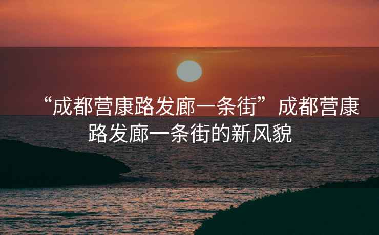 “成都營康路發(fā)廊一條街”成都營康路發(fā)廊一條街的新風(fēng)貌