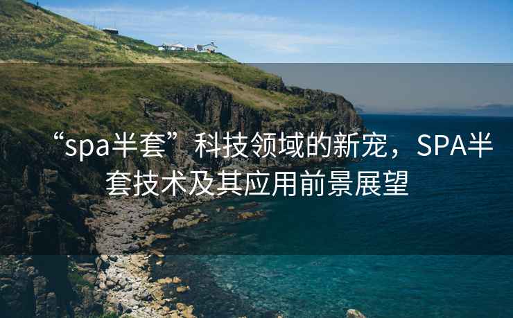 “spa半套”科技領(lǐng)域的新寵，SPA半套技術(shù)及其應(yīng)用前景展望