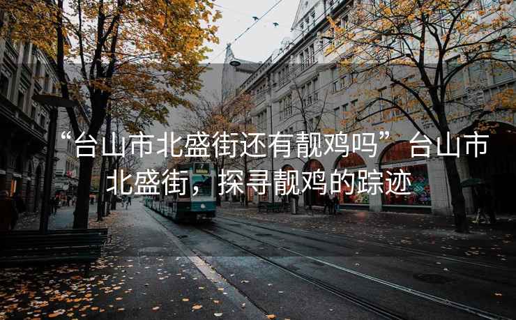 “臺(tái)山市北盛街還有靚雞嗎”臺(tái)山市北盛街，探尋靚雞的蹤跡