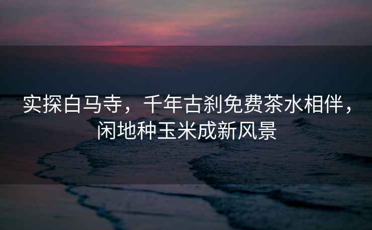 實(shí)探白馬寺，千年古剎免費(fèi)茶水相伴，閑地種玉米成新風(fēng)景