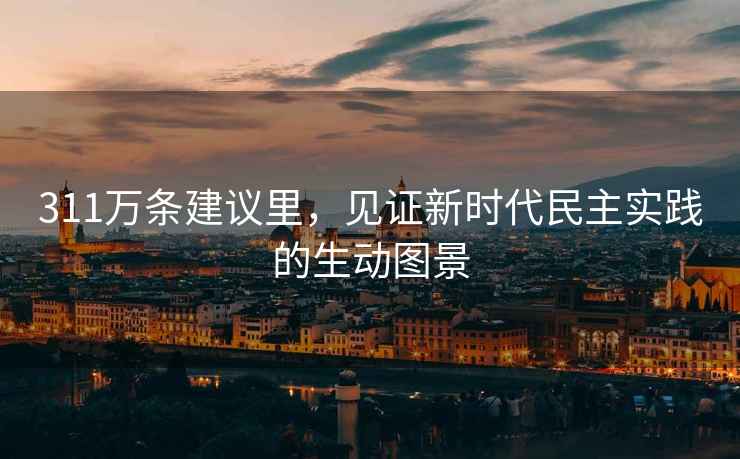 311萬條建議里，見證新時代民主實踐的生動圖景
