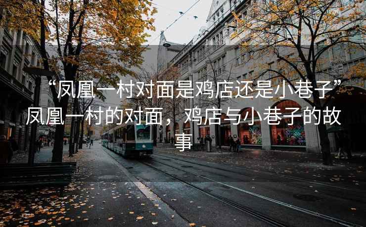“鳳凰一村對面是雞店還是小巷子”鳳凰一村的對面，雞店與小巷子的故事