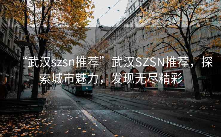 “武漢szsn推薦”武漢SZSN推薦，探索城市魅力，發(fā)現(xiàn)無盡精彩
