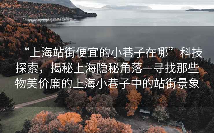 “上海站街便宜的小巷子在哪”科技探索，揭秘上海隱秘角落—尋找那些物美價(jià)廉的上海小巷子中的站街景象
