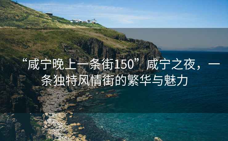 “咸寧晚上一條街150”咸寧之夜，一條獨特風(fēng)情街的繁華與魅力