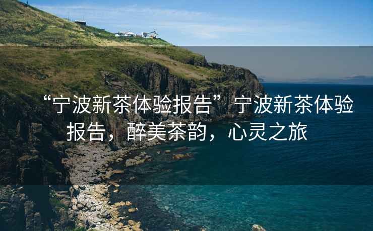 “寧波新茶體驗(yàn)報(bào)告”寧波新茶體驗(yàn)報(bào)告，醉美茶韻，心靈之旅