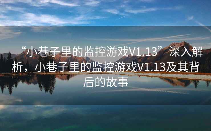 “小巷子里的監(jiān)控游戲V1.13”深入解析，小巷子里的監(jiān)控游戲V1.13及其背后的故事
