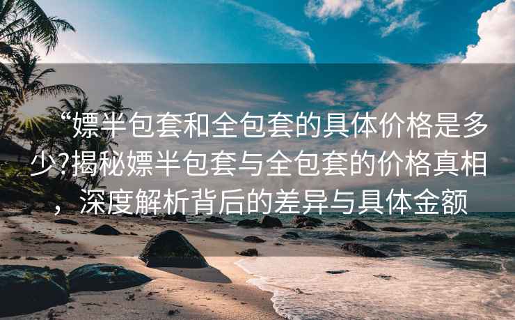“嫖半包套和全包套的具體價(jià)格是多少?揭秘嫖半包套與全包套的價(jià)格真相，深度解析背后的差異與具體金額