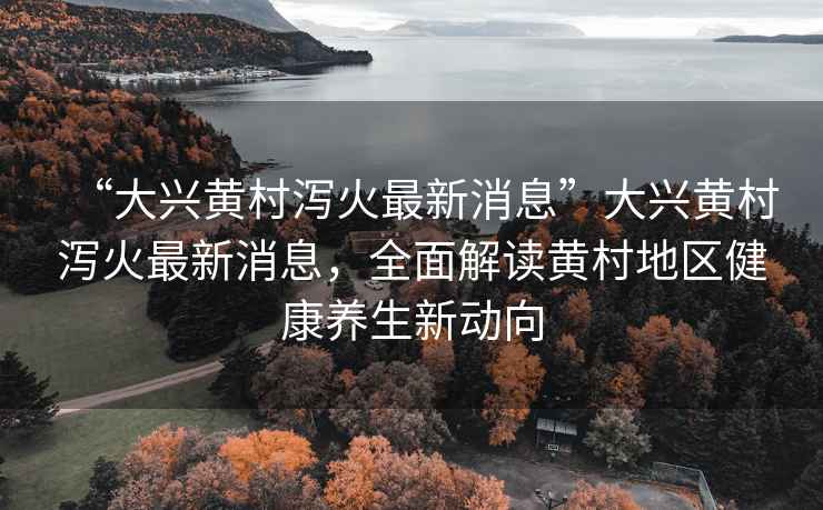 “大興黃村瀉火最新消息”大興黃村瀉火最新消息，全面解讀黃村地區(qū)健康養(yǎng)生新動向