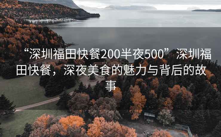 “深圳福田快餐200半夜500”深圳福田快餐，深夜美食的魅力與背后的故事