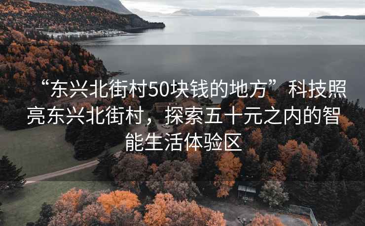 “東興北街村50塊錢的地方”科技照亮東興北街村，探索五十元之內(nèi)的智能生活體驗區(qū)