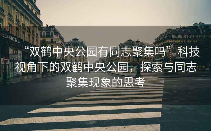 “雙鶴中央公園有同志聚集嗎”科技視角下的雙鶴中央公園，探索與同志聚集現(xiàn)象的思考